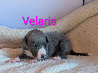 A trip to Velaris 