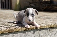 Rien à ajouter